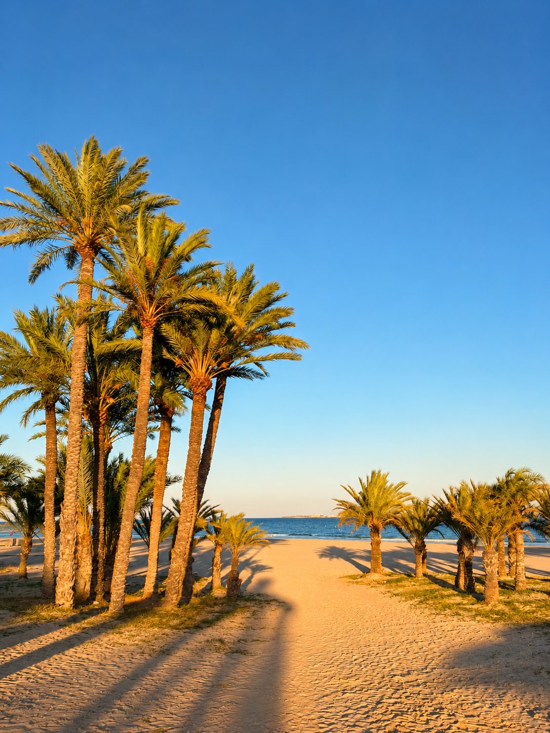 Varadero Beach with palms and sea views